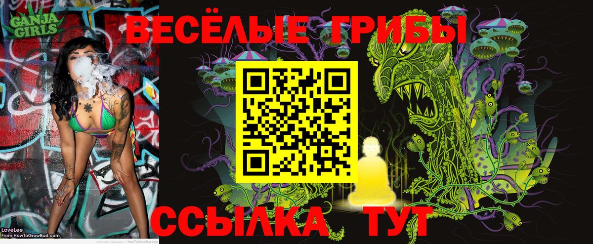 Сафоново  Псилоцибиновые грибы мухоморы  Вход с VPN 