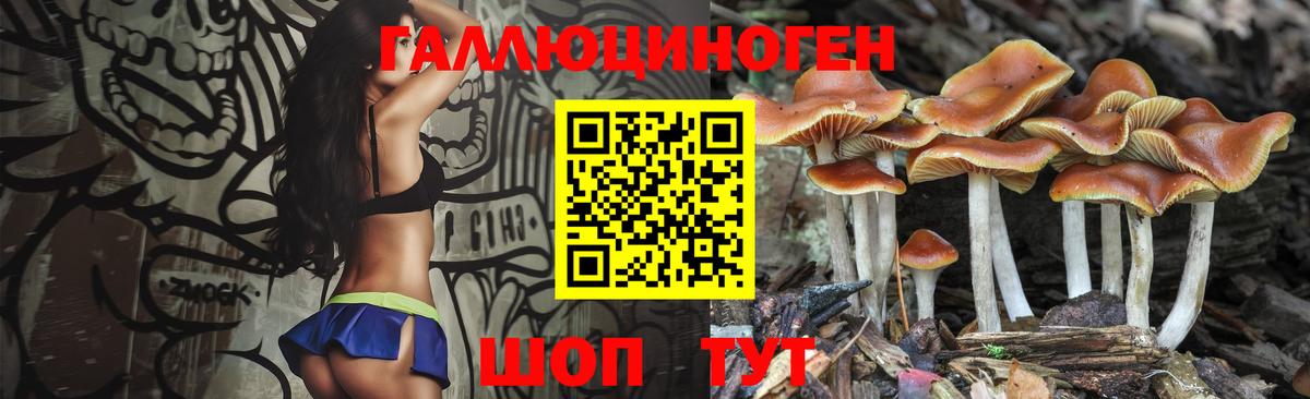 Галлюциногенные грибы GOLDEN TEACHER Сафоново